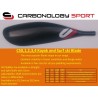 Carbonology CS1